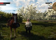 The Witcher 3: Wild Hunt