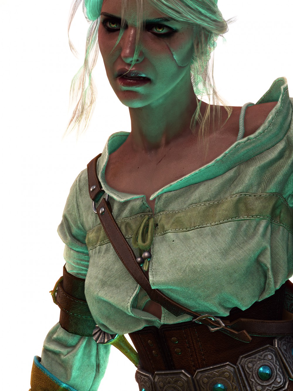The Witcher 3: Wild Hunt