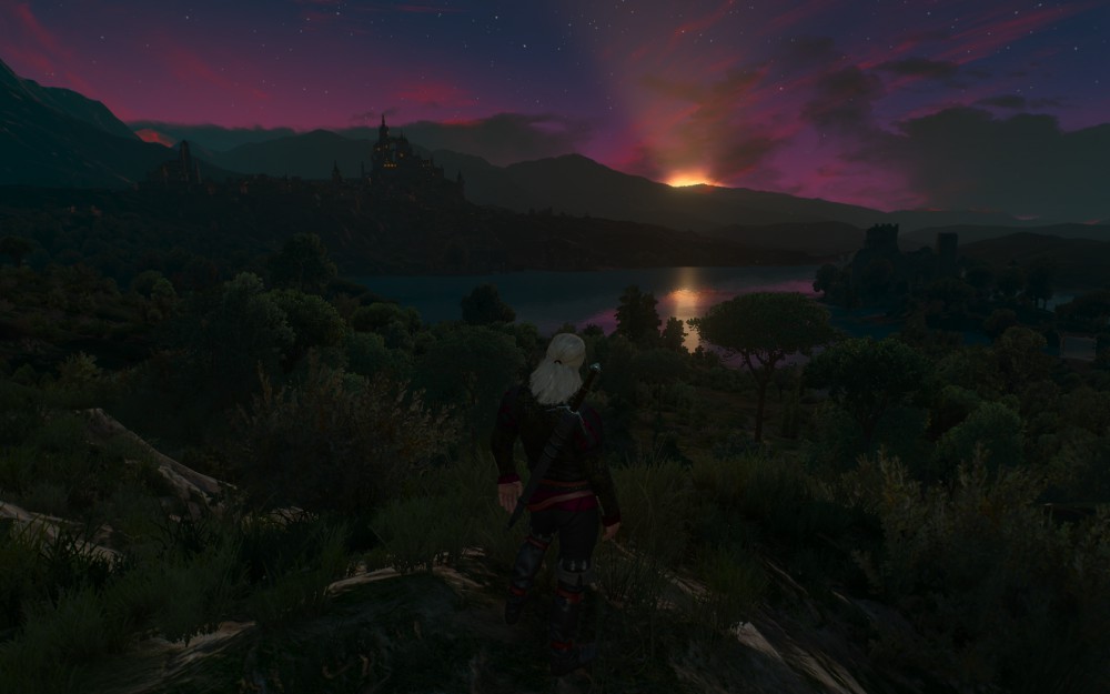 The Witcher 3: Wild Hunt