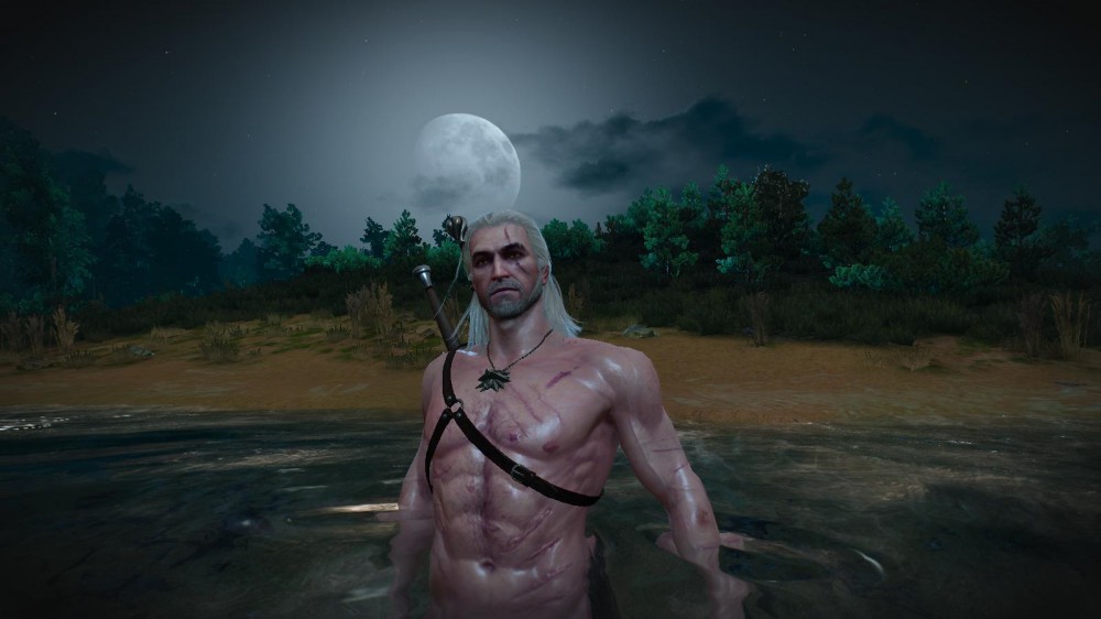 The Witcher 3: Wild Hunt