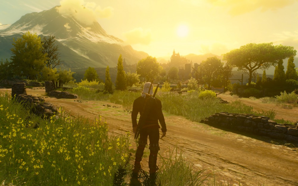 The Witcher 3: Wild Hunt