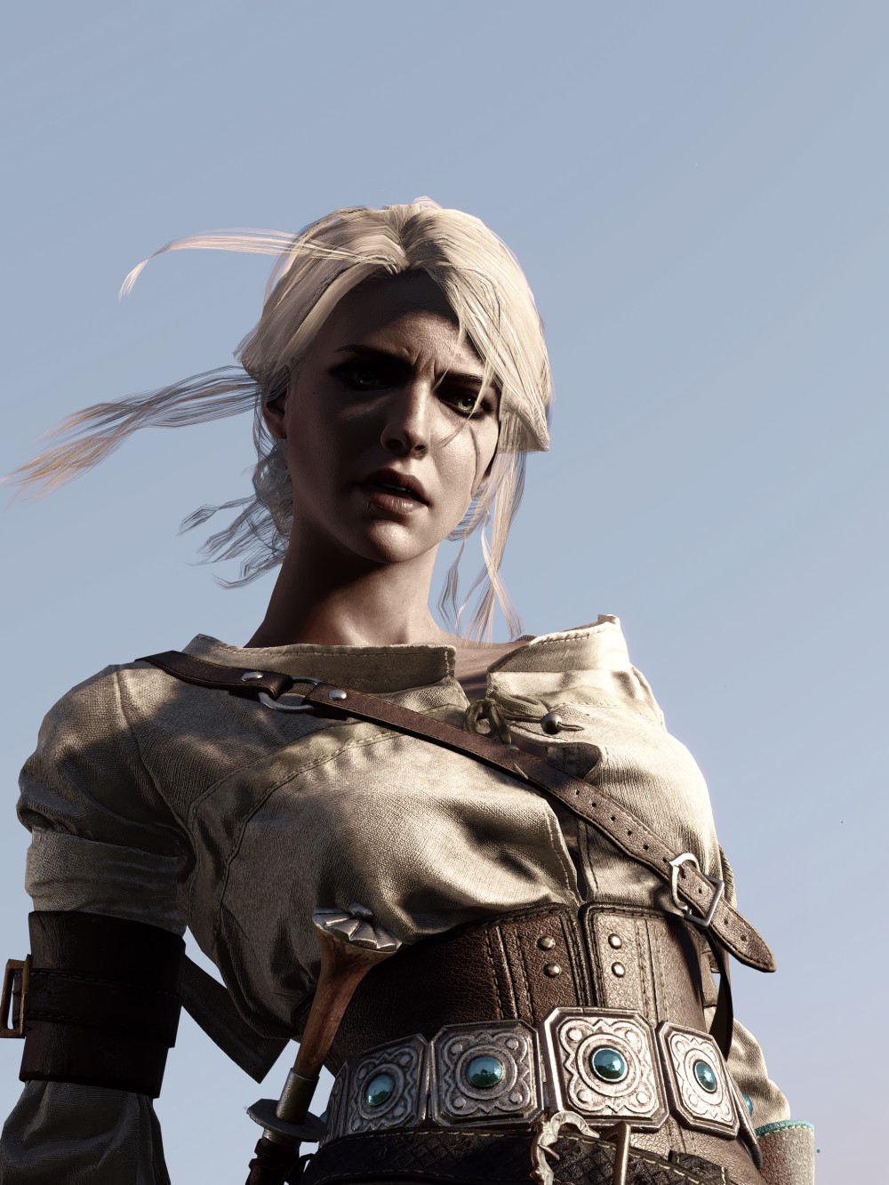 The Witcher 3: Wild Hunt