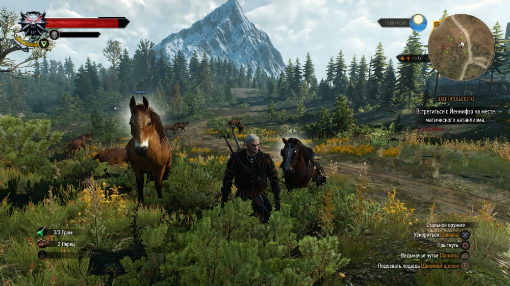 The Witcher 3: Wild Hunt