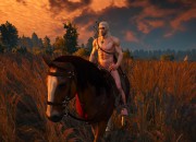 The Witcher 3: Wild Hunt