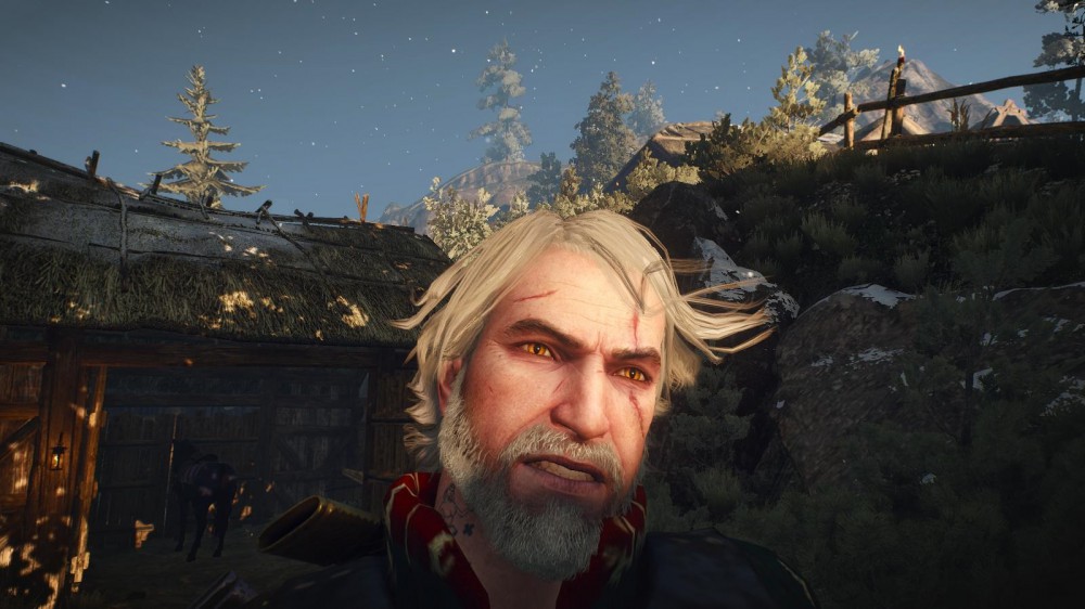 The Witcher 3: Wild Hunt