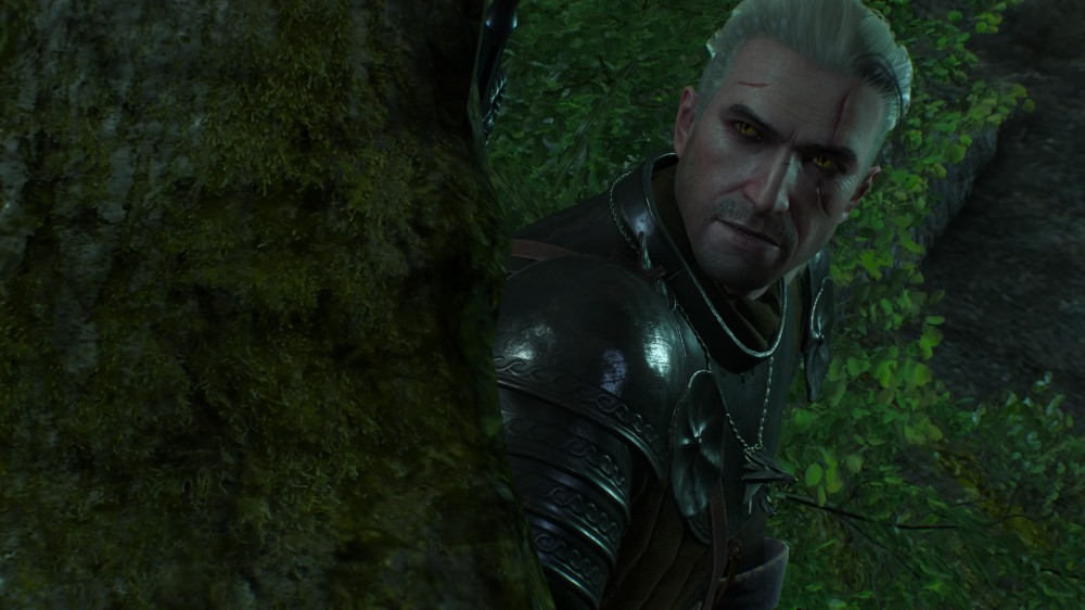 The Witcher 3: Wild Hunt