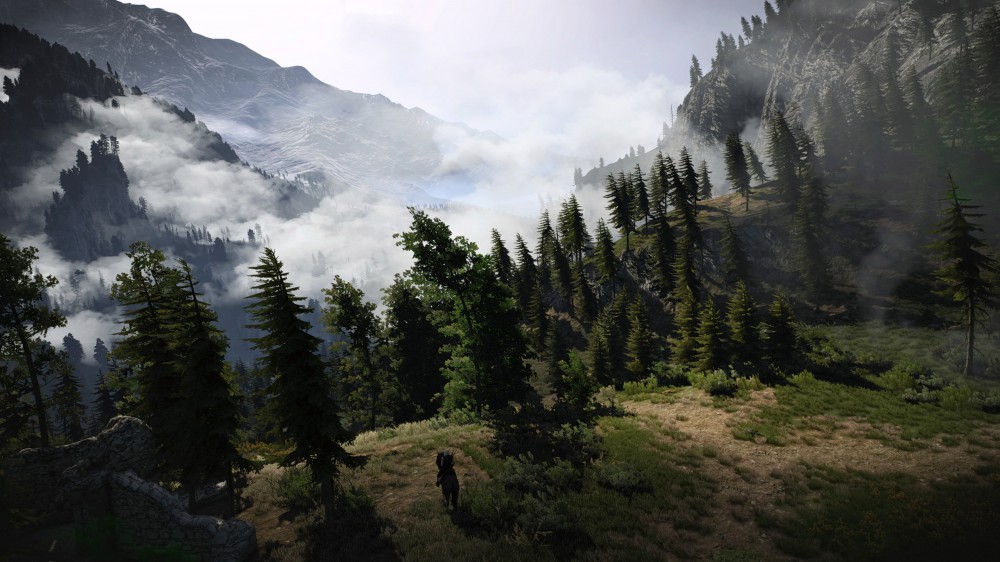 The Witcher 3: Wild Hunt
