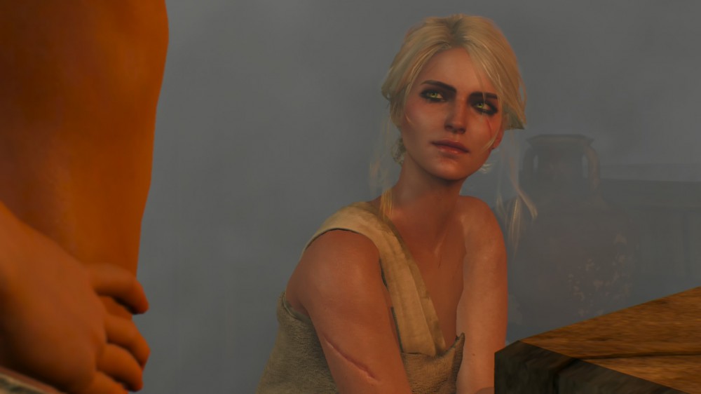 The Witcher 3: Wild Hunt