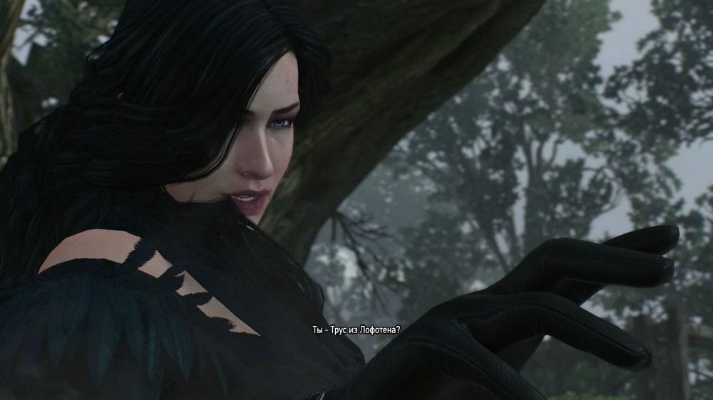 The Witcher 3: Wild Hunt