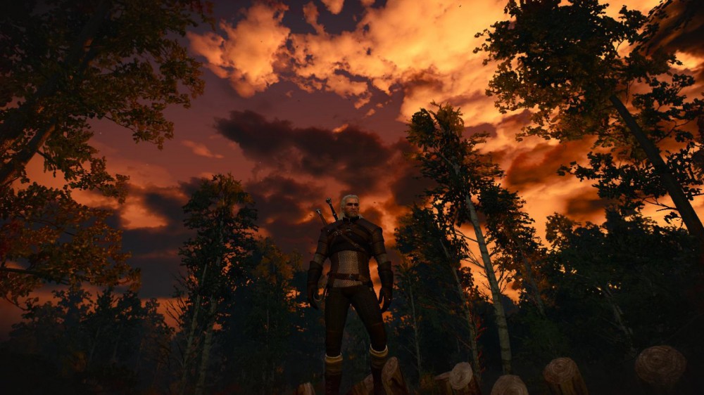 The Witcher 3: Wild Hunt