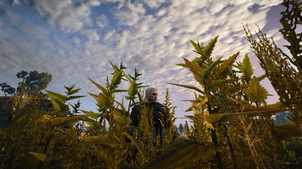 The Witcher 3: Wild Hunt