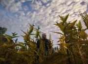 The Witcher 3: Wild Hunt
