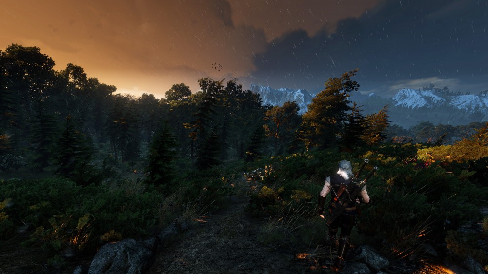 The Witcher 3: Wild Hunt