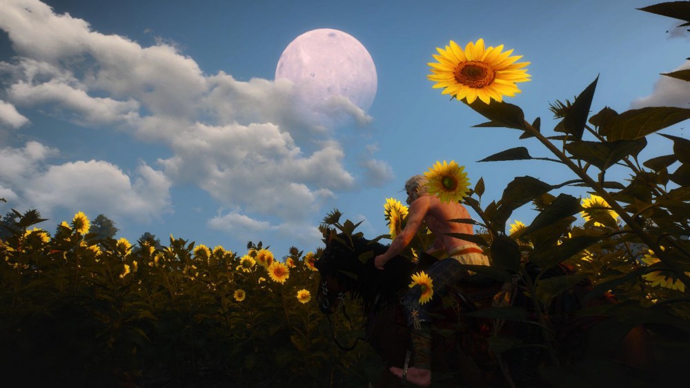 The Witcher 3: Wild Hunt
