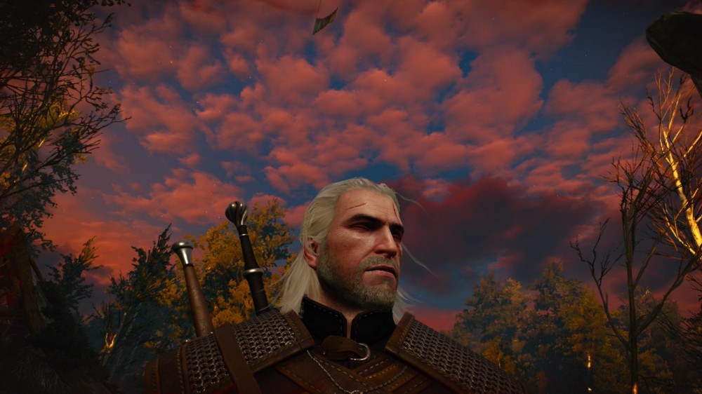 The Witcher 3: Wild Hunt