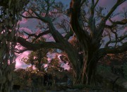 The Witcher 3: Wild Hunt