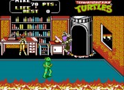 Teenage Mutant Ninja Turtles II: The Arcade Game
