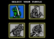 Teenage Mutant Ninja Turtles II: The Arcade Game