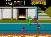 Teenage Mutant Ninja Turtles II: The Arcade Game