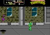 Teenage Mutant Ninja Turtles II: The Arcade Game