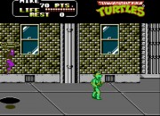 Teenage Mutant Ninja Turtles II: The Arcade Game