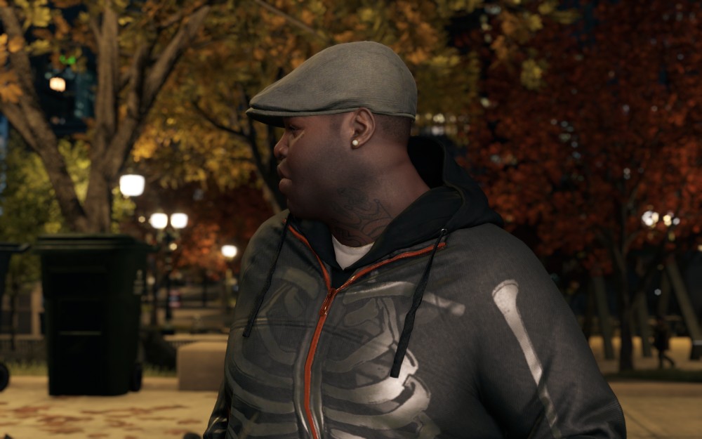 Watch Dogs