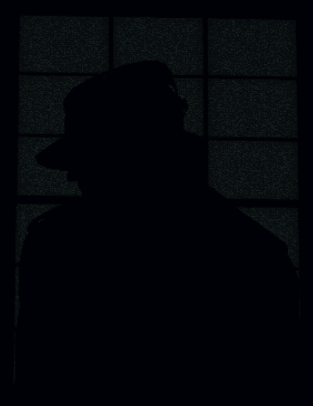 Watch Dogs