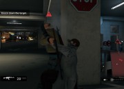 Watch Dogs