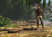 Assassin's Creed IV: Black Flag