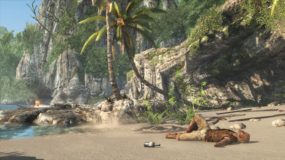 Assassin's Creed IV: Black Flag