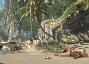 Assassin's Creed IV: Black Flag