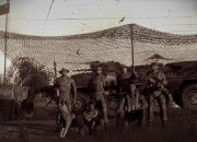 ARMA 3