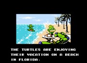 Teenage Mutant Ninja Turtles III: The Manhattan Project