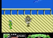 Teenage Mutant Ninja Turtles III: The Manhattan Project