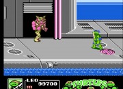 Teenage Mutant Ninja Turtles III: The Manhattan Project