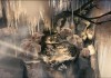 Brothers: A Tale of Two Sons