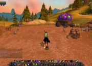 World of Warcraft screenshot