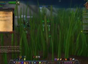 World of Warcraft screenshot