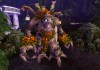 World of Warcraft