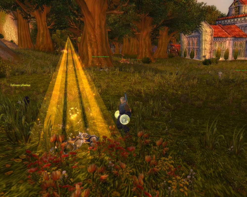 World of Warcraft