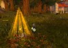 World of Warcraft