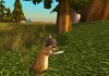 World of Warcraft