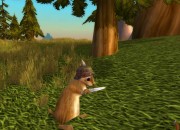 World of Warcraft