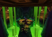 World of Warcraft