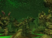 World of Warcraft