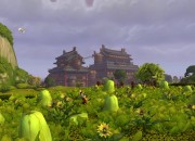 World of Warcraft
