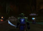 World of Warcraft