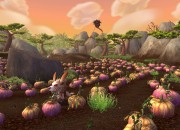 World of Warcraft