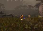 World of Warcraft