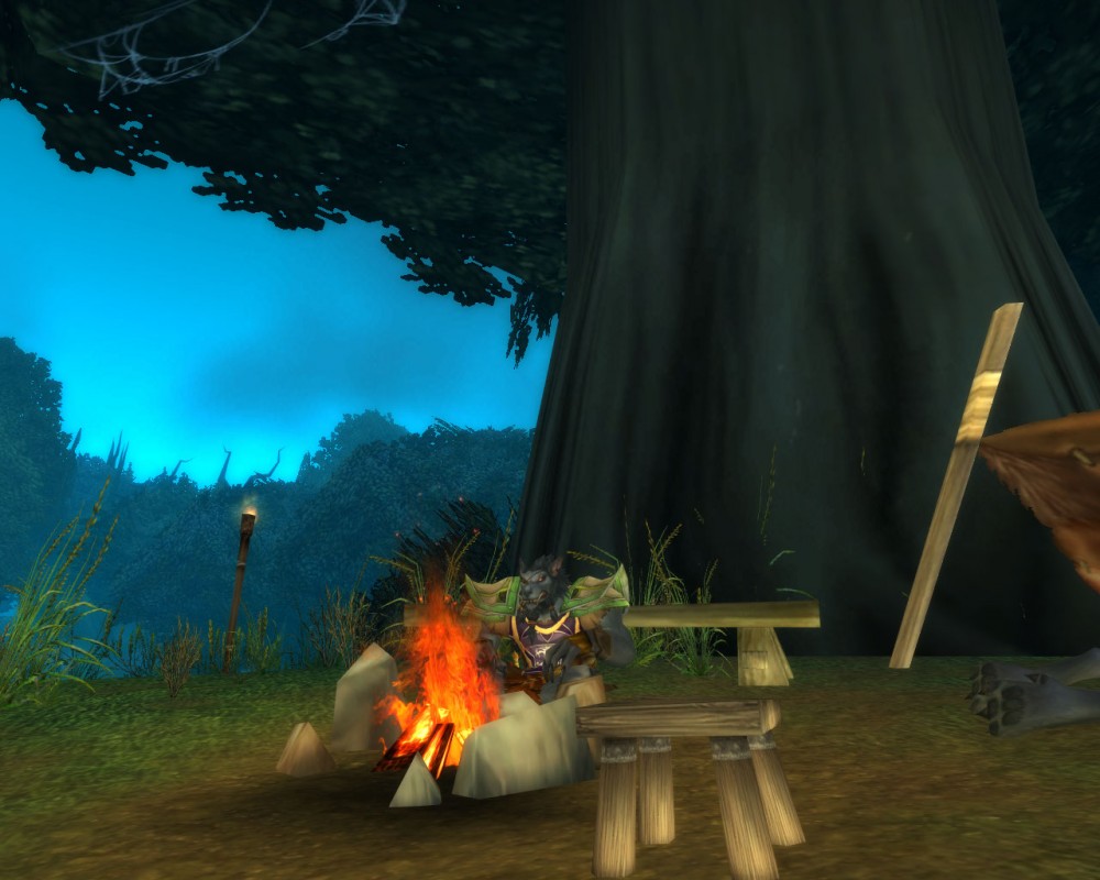 World of Warcraft